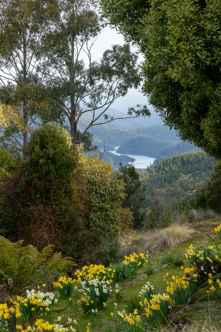 Additional image 31 of 675 Cradle Mountain Road, Erriba TAS 7310