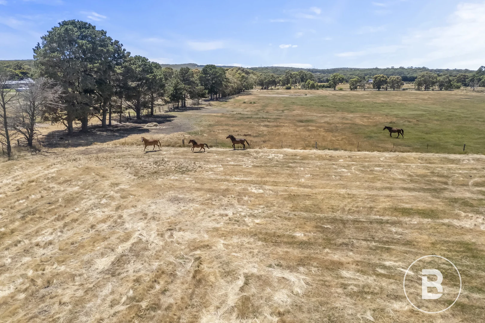 Additional image 5 of 13b Slatey Creek Road North, Invermay VIC 3352