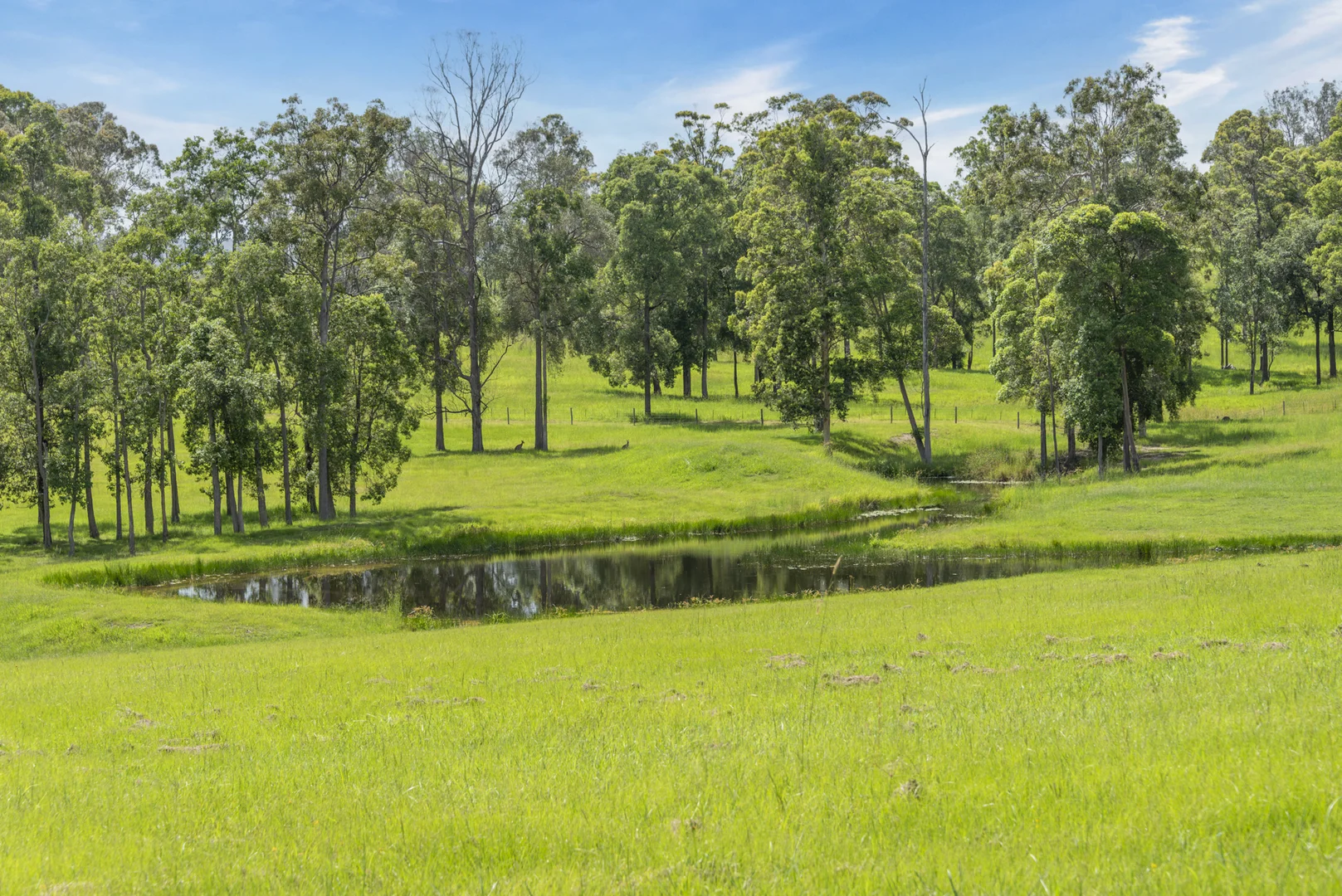 Additional image 4 of 240 Keefton Road, Woondum QLD 4570