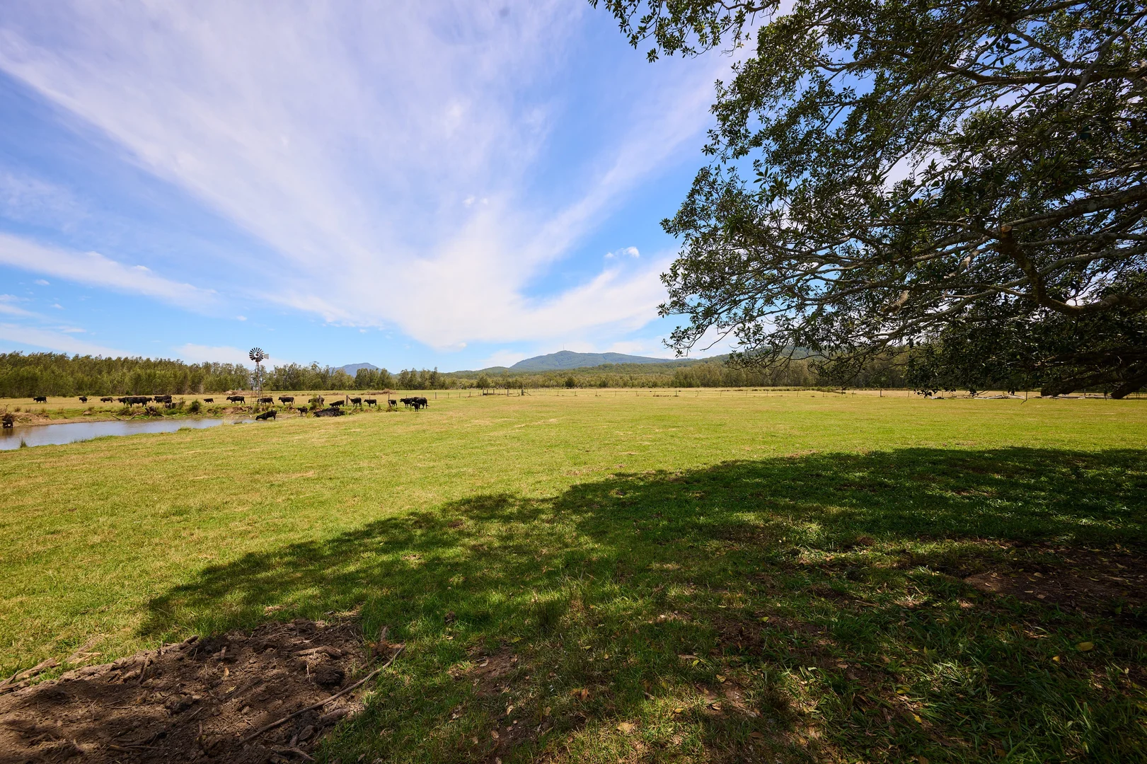 Additional image 11 of 4300 Pacific Highway, Middle Brother NSW 2443