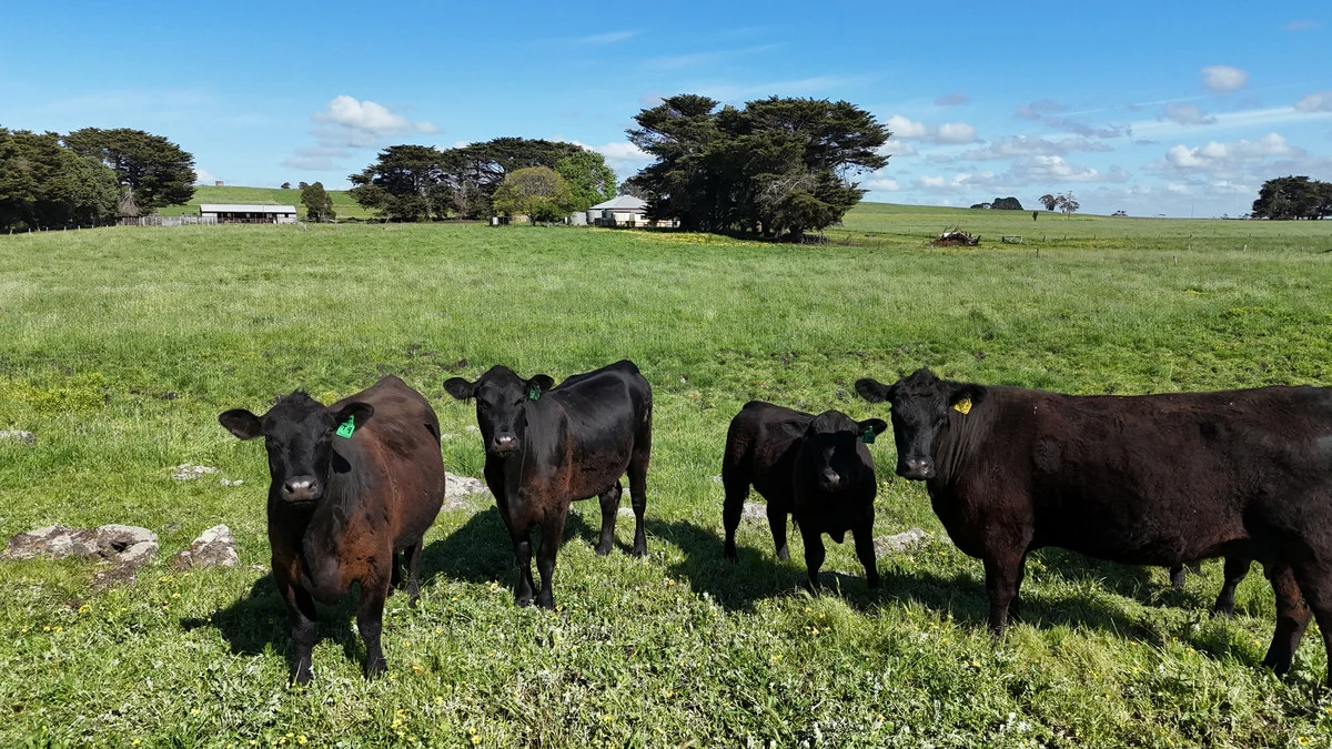 Additional image 27 of 61 Purrumbete Estate Road, Koallah VIC 3260