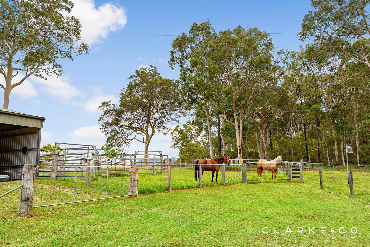 Additional image 12 of 514 Leggetts Drive, Richmond Vale NSW 2323