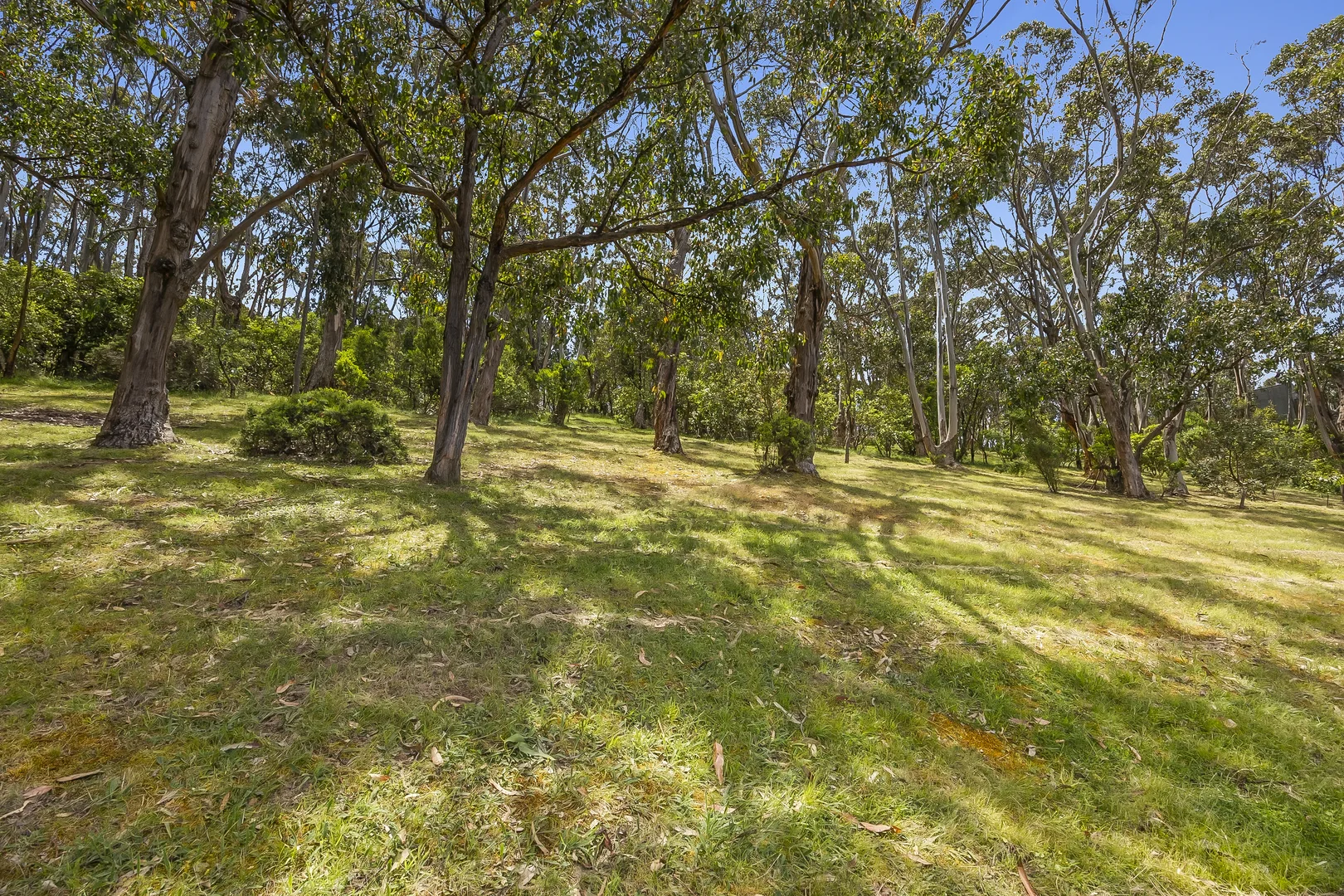 Additional image 15 of 1132 Great Ocean Road, Big Hill VIC 3231