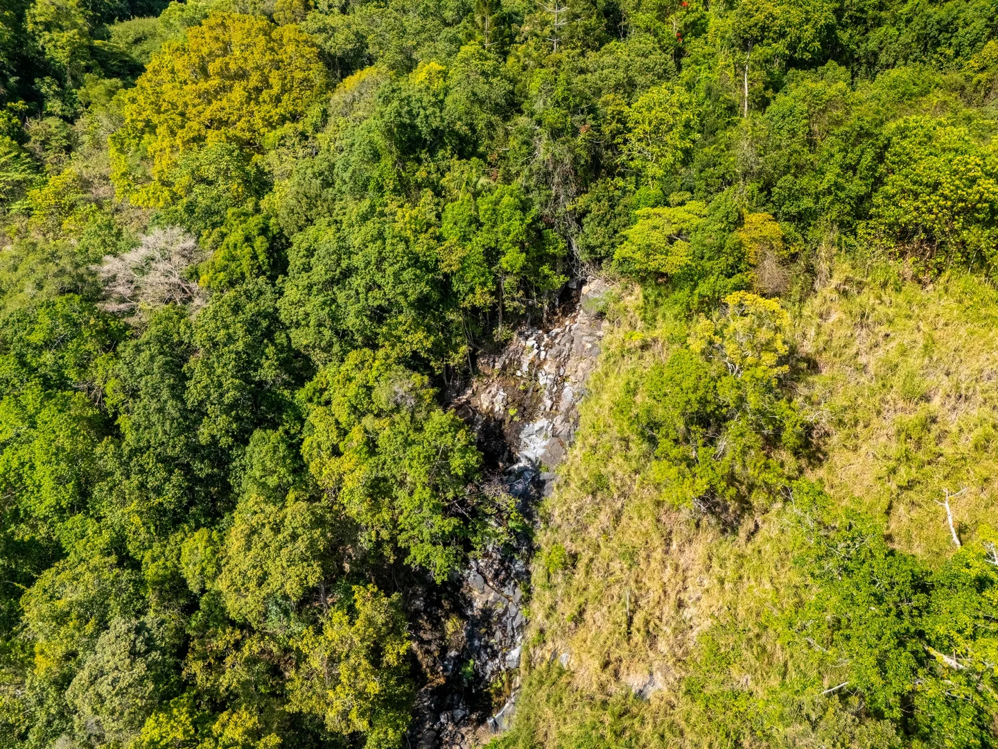 Additional image 20 of 895 Hunchy Road, Hunchy QLD 4555