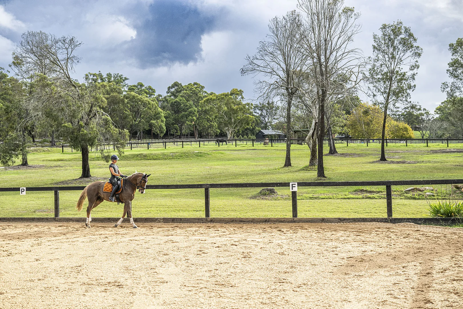 Additional image 16 of 16 Calabash Road, Arcadia NSW 2159