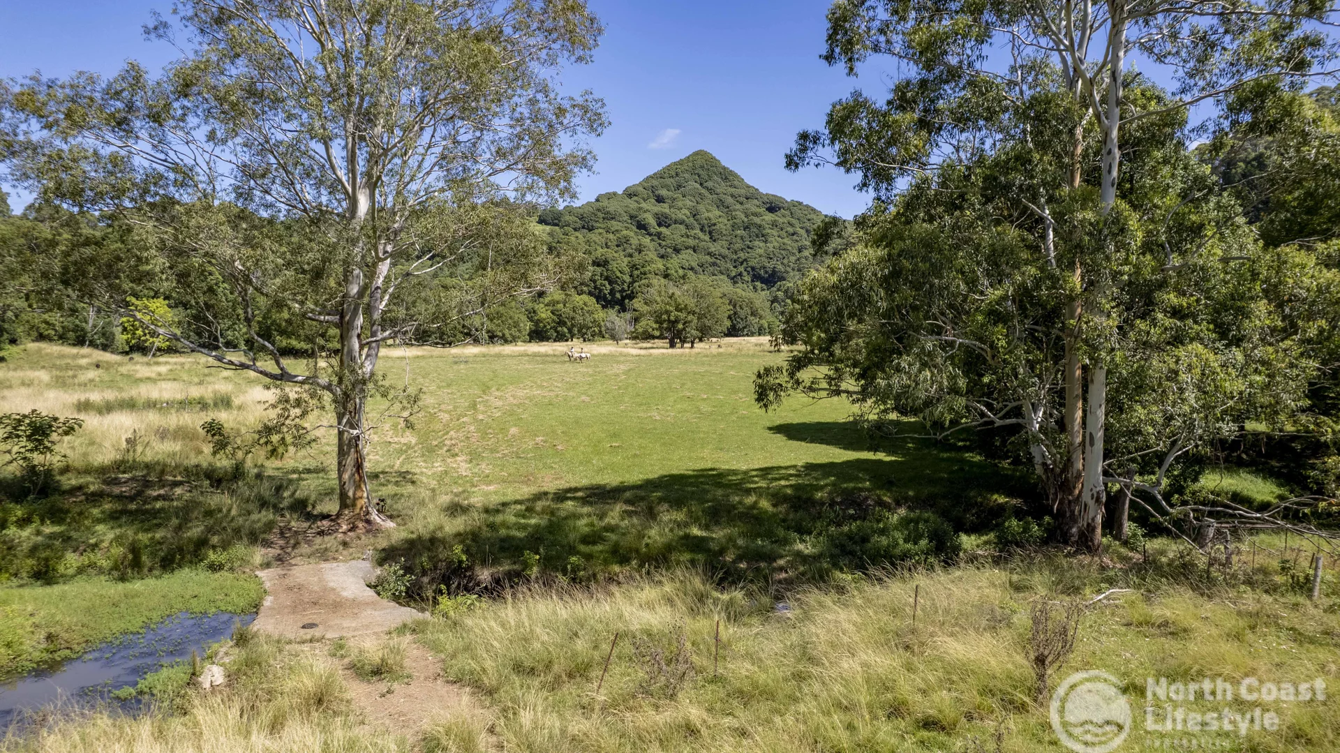 Additional image 16 of 1977 Coolamon Scenic Drive, Mullumbimby NSW 2482