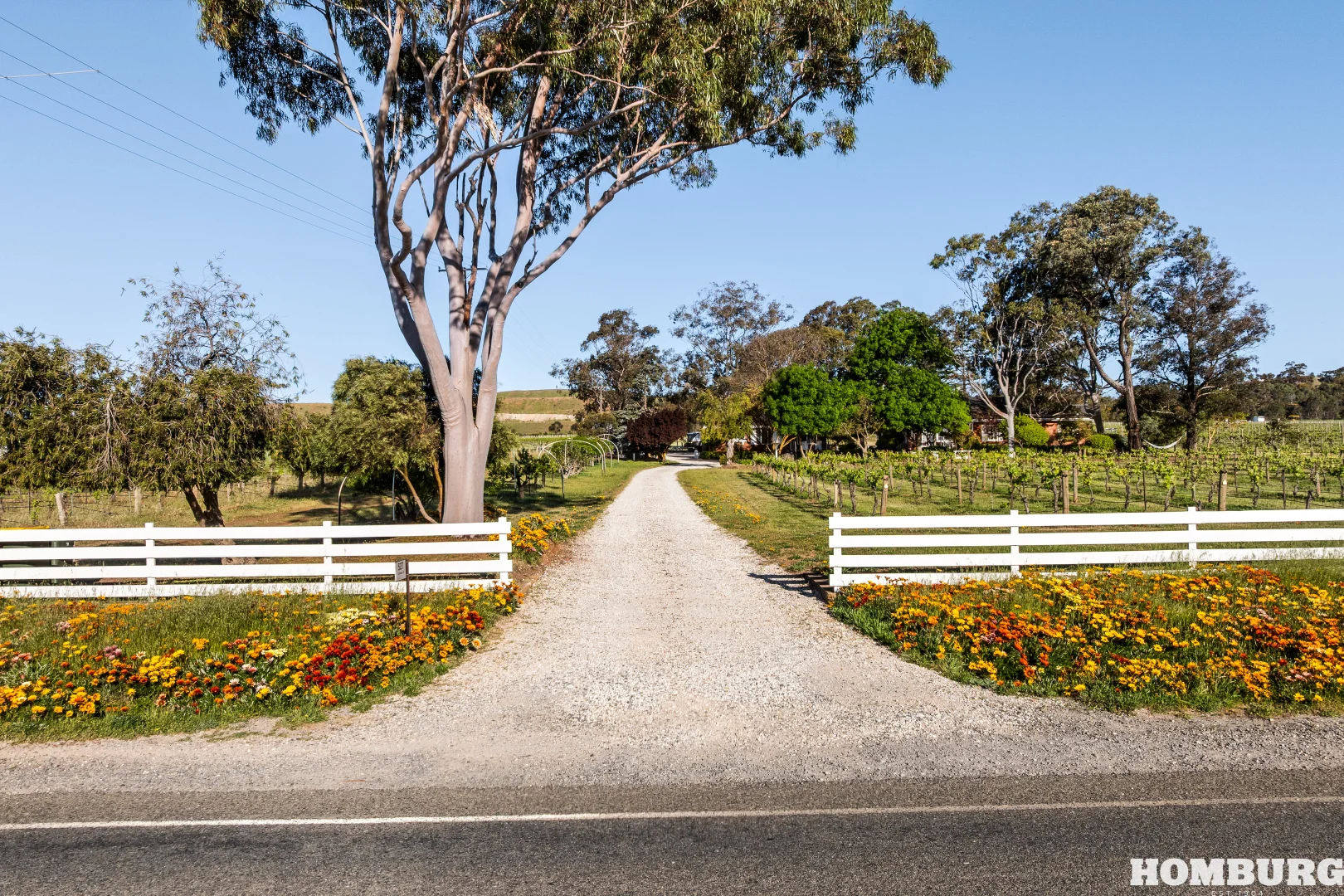 Additional image 3 of 527 Stockwell Road, Light Pass SA 5355