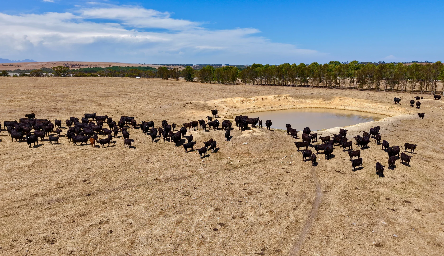 Additional image 16 of 4842 Chester Pass Road, Takalarup WA 6324