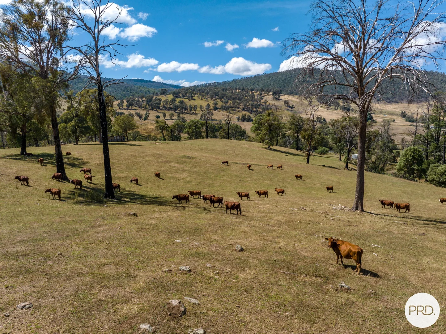 Additional image 77 of 1100 Batlow Road, Tumbarumba NSW 2653