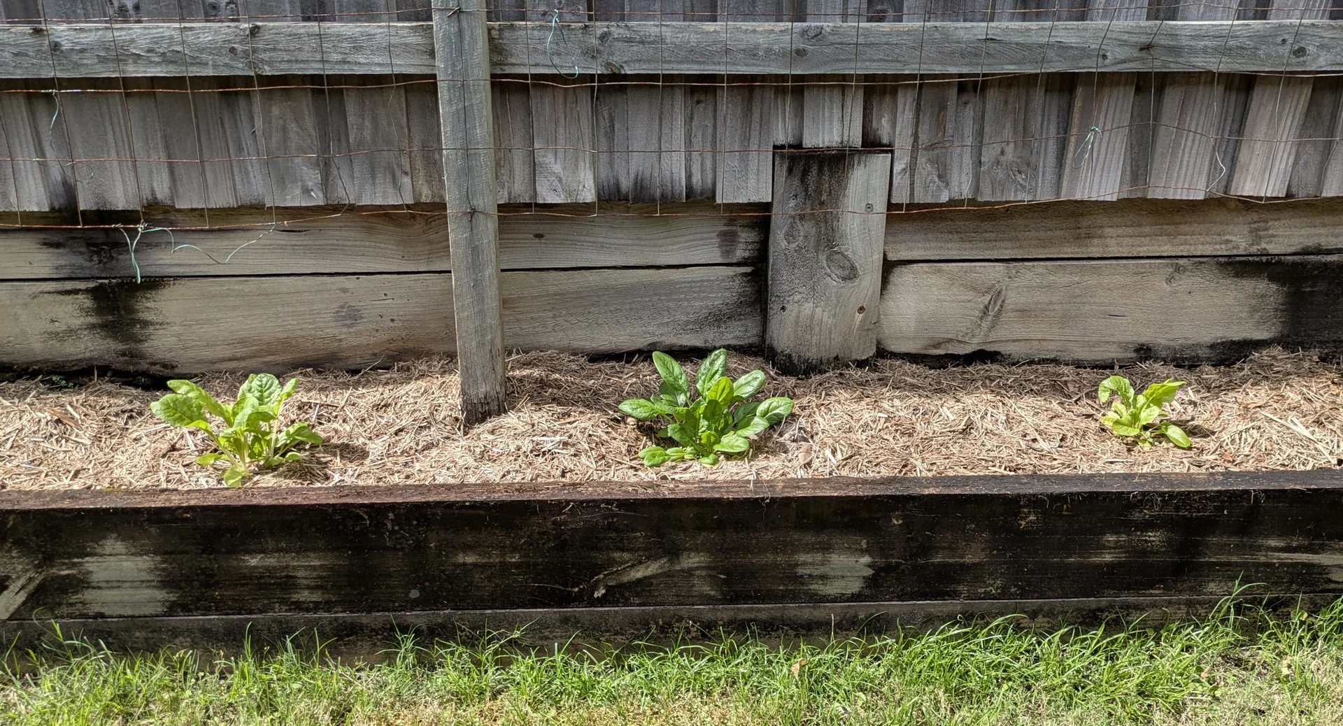 Additional image 31 of 36 Moorhen Place, Noosaville QLD 4566