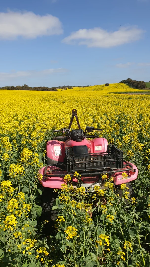 Additional image 4 of 33 Lutze Road, Coonalpyn SA 5265