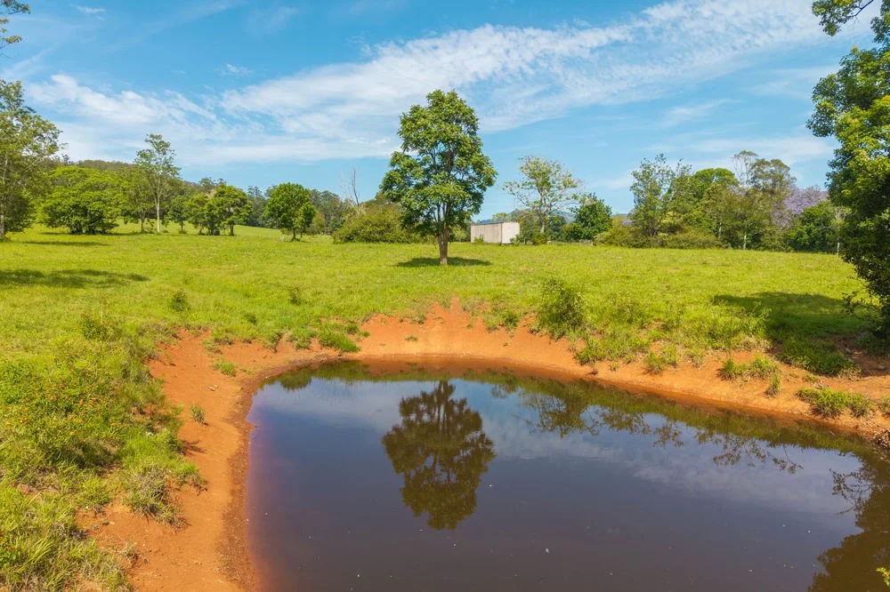 Additional image 11 of 870 Darkwood Road, Thora NSW 2454