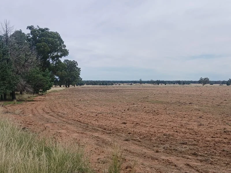 Additional image 27 of Tooraweenah NSW 2817