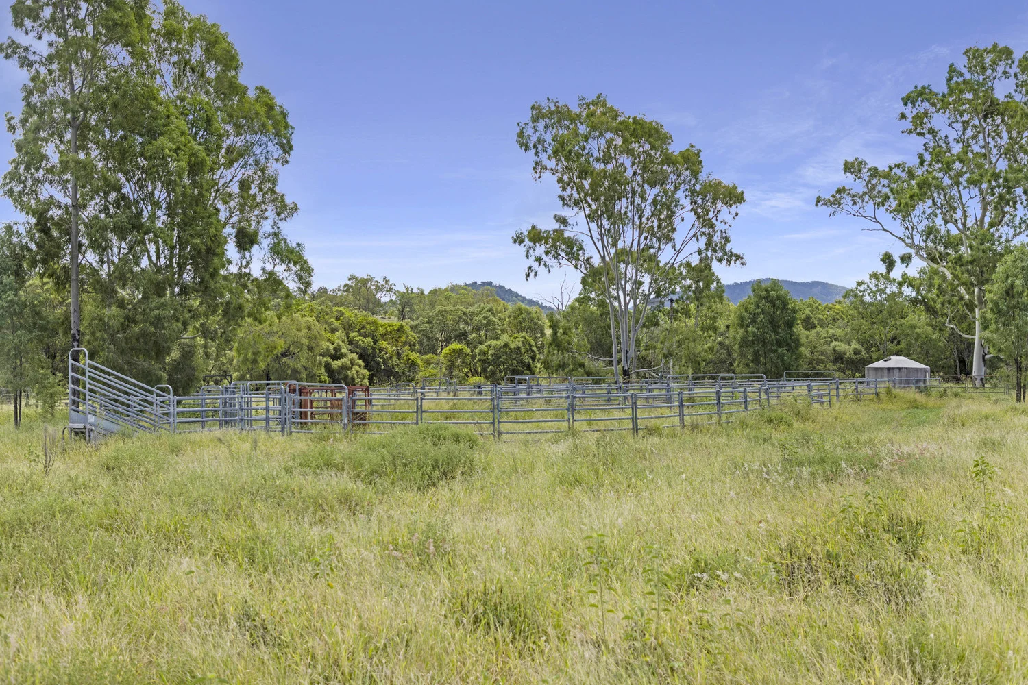 Additional image 9 of 124 Lee Farm Road, Bushley QLD 4702