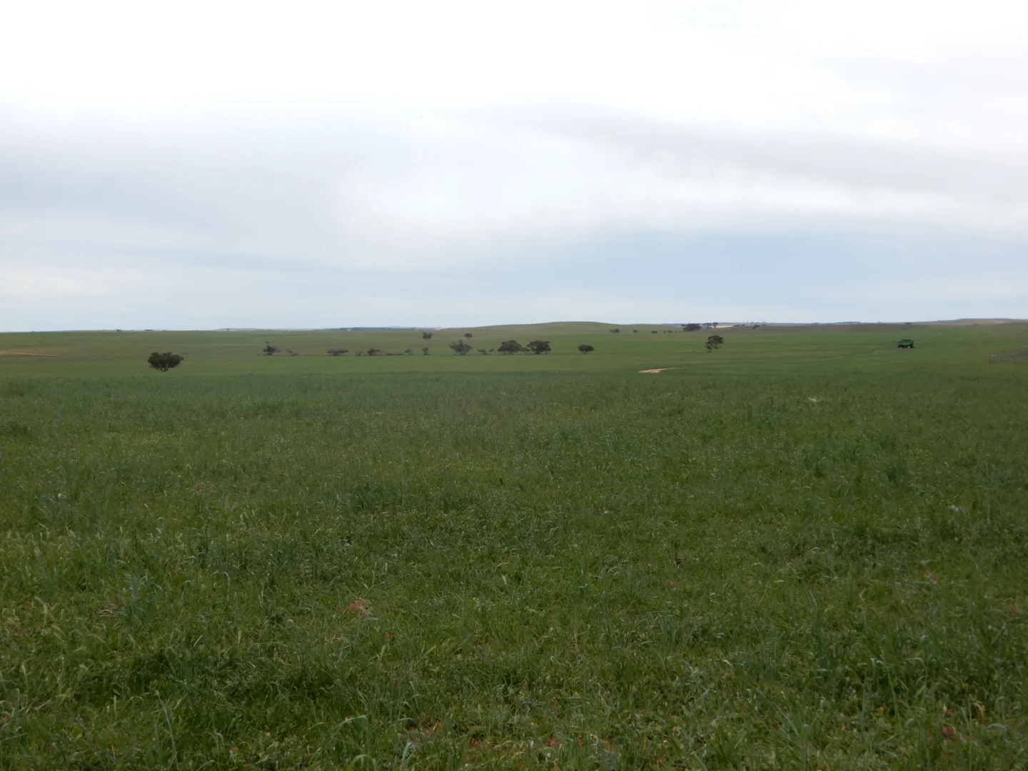 Additional image 13 of 1481 Parrakie North Road, Lameroo SA 5302