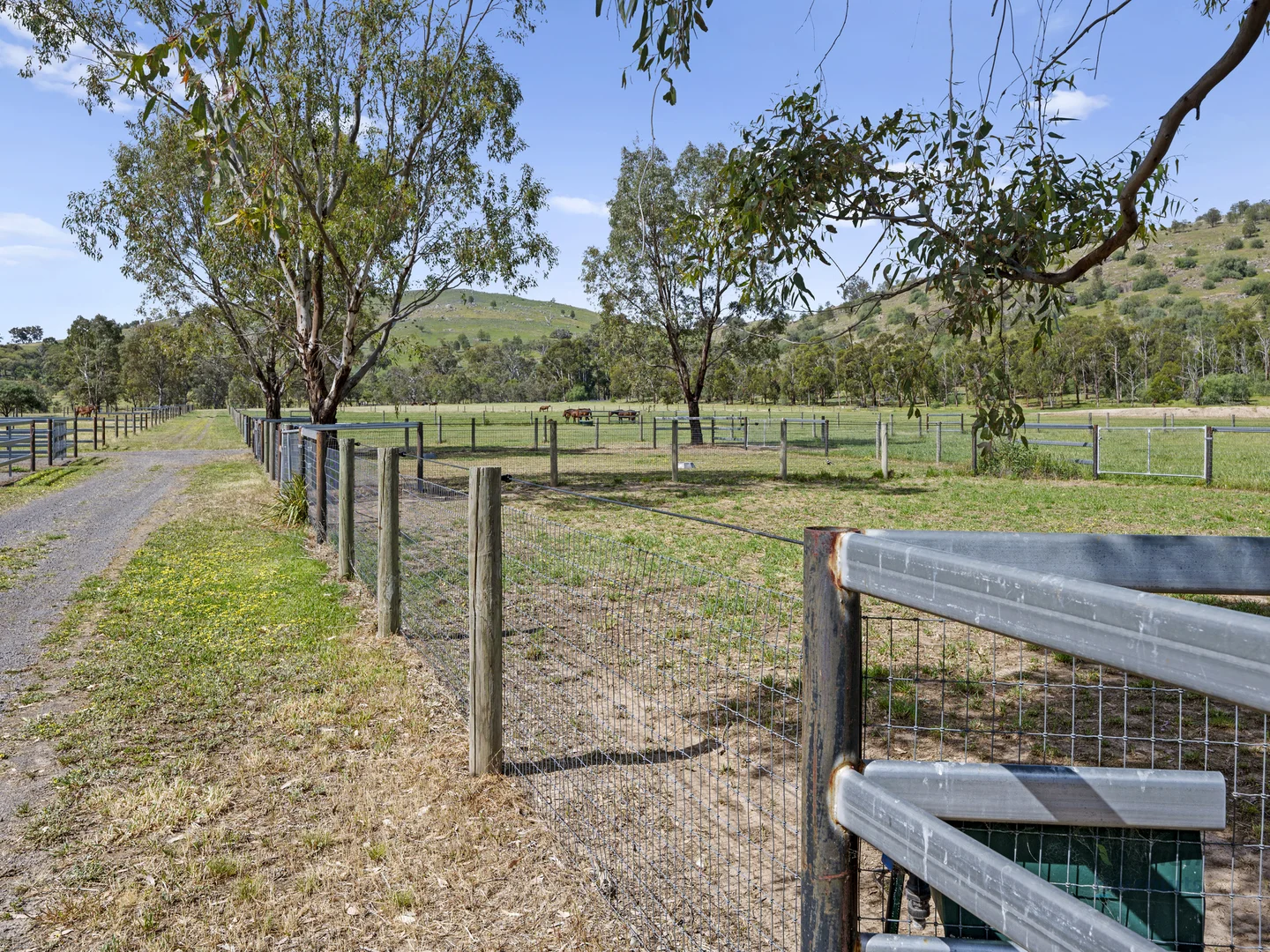 Additional image 21 of 778 Sheans Creek Road, Euroa VIC 3666