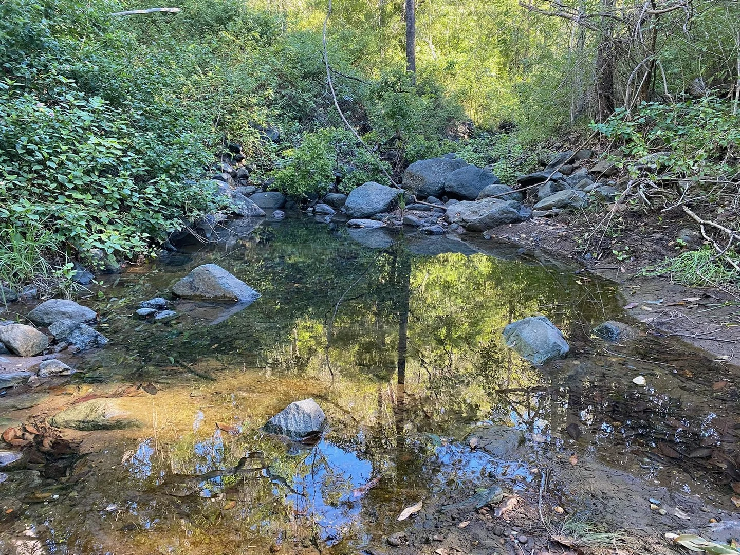 Additional image 3 of 1598 Kavanaghs Road, Ravensbourne QLD 4352