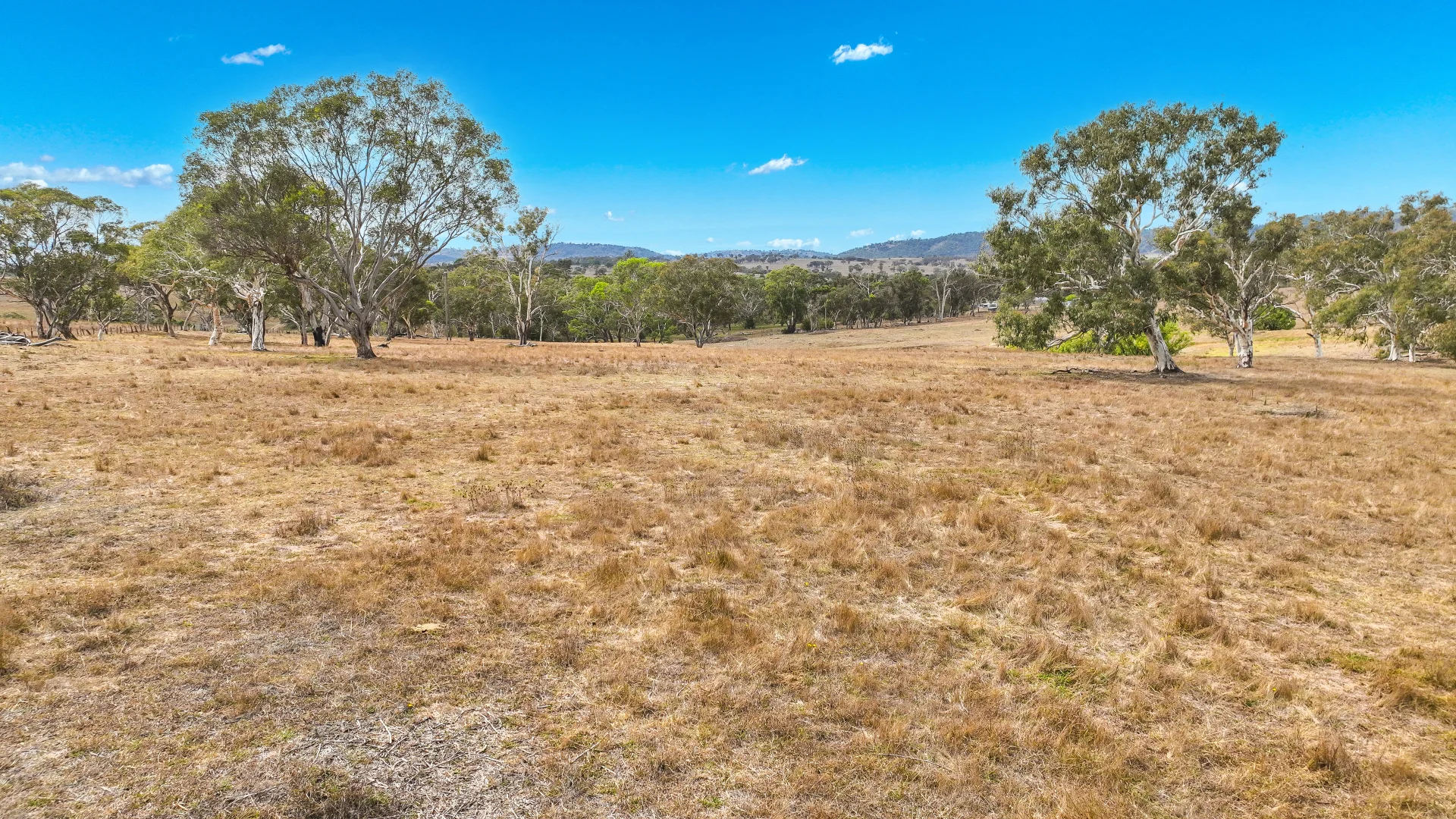 Additional image 21 of 6953 Halls Creek Road, Bendemeer NSW 2355