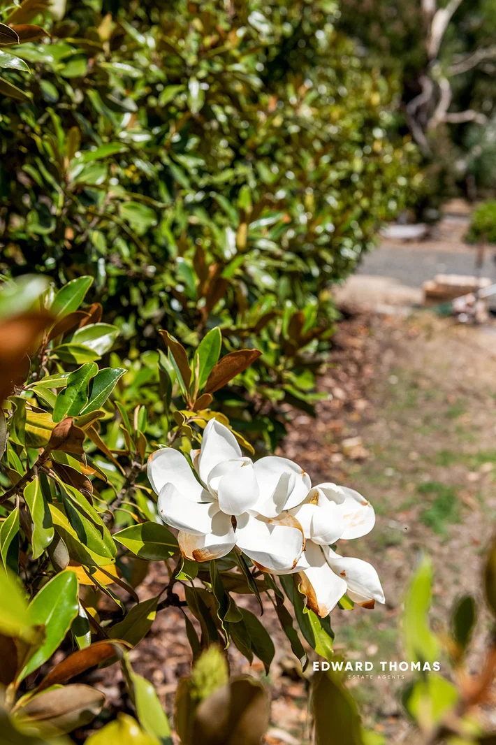 Additional image 39 of 133 Shannons Road, Mount Macedon VIC 3441