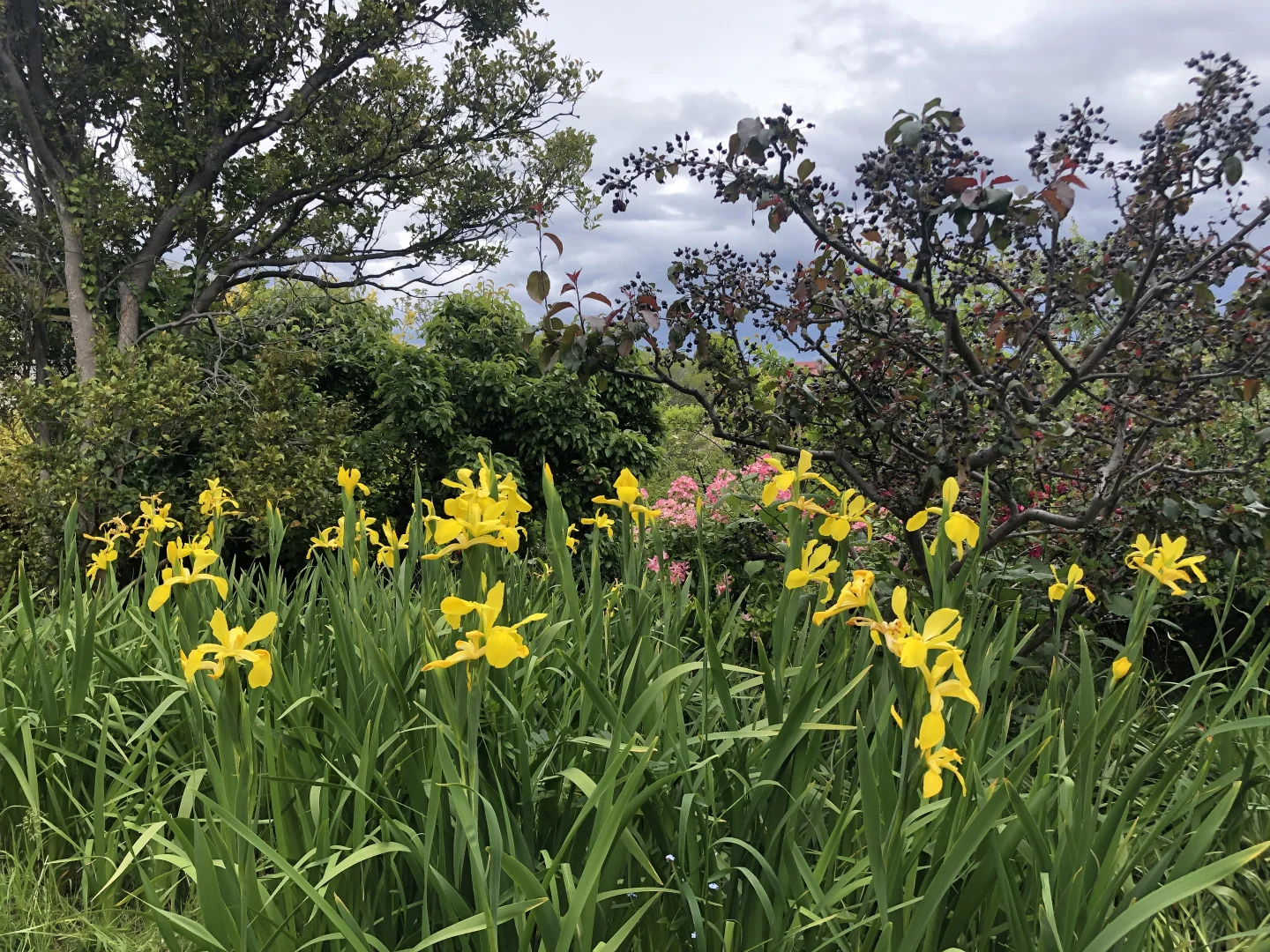 Additional image 20 of 56 Lower Jordan Hill Road, West Hobart TAS 7000