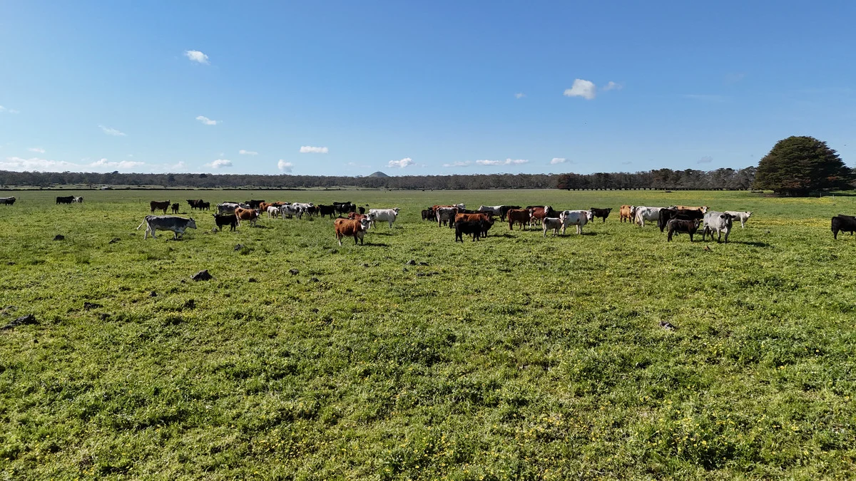 Additional image 16 of 61 Purrumbete Estate Road, Koallah VIC 3260