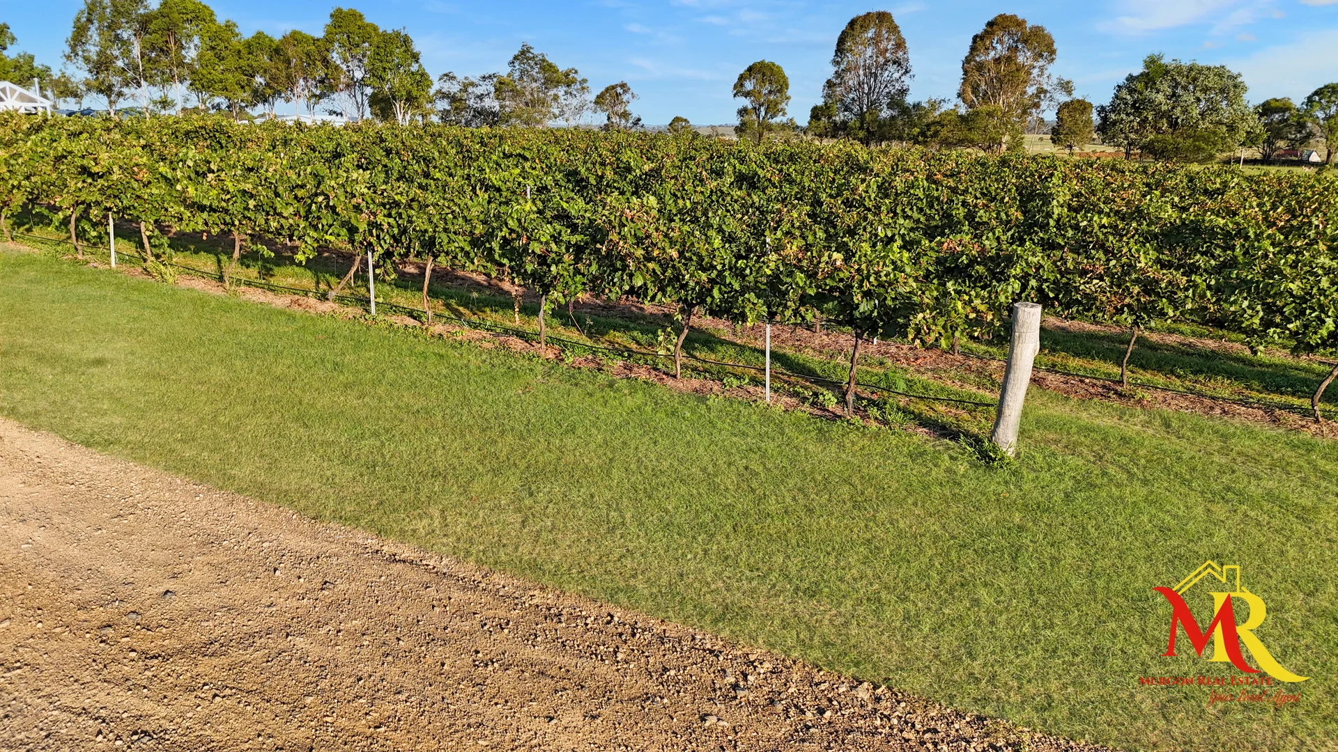 Additional image 2 of 16 Fork Hill Drive, Moffatdale QLD 4605