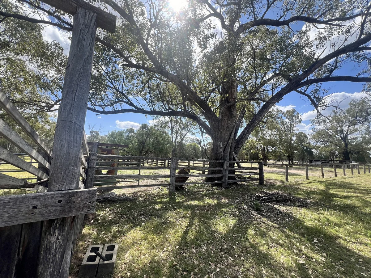 Additional image 3 of 4185 Moonie Highway, Ducklo QLD 4405