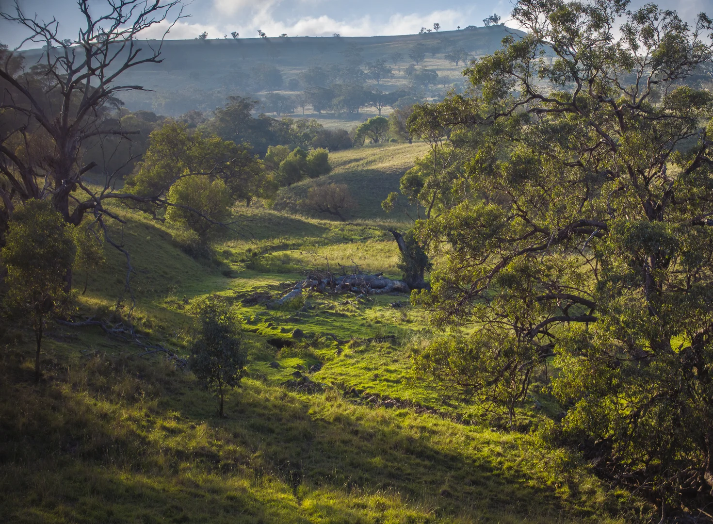 Additional image 24 of 'Mountainside' 250 Mountain Side Road, Coolah NSW 2843