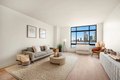 Additional image 2 of 350 Albany St Apt 8A, Manhattan, NY, 10280