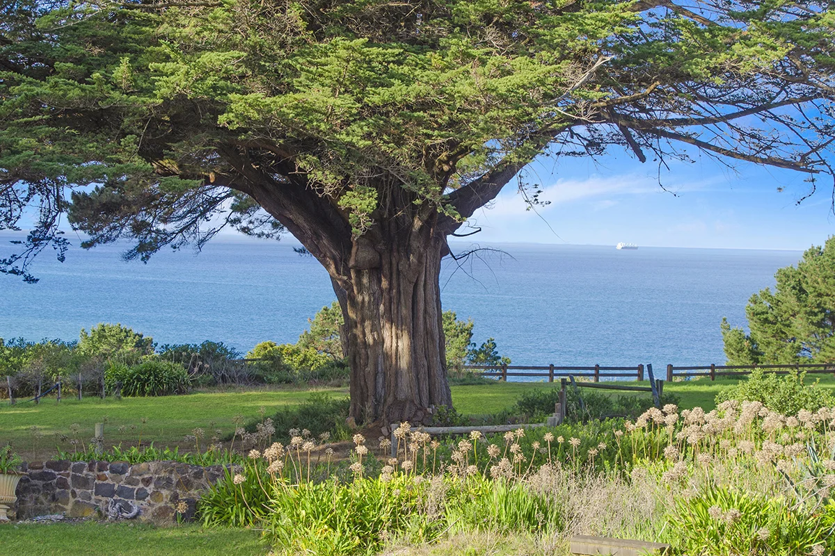 Additional image 2 of 8-28 Daniel Street, Portland VIC 3305