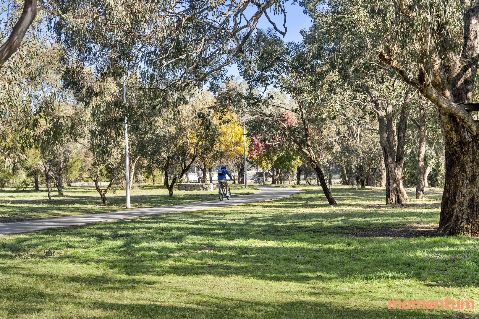 Additional image 15 of 1/132 Kosciuszko Avenue, Palmerston ACT 2913