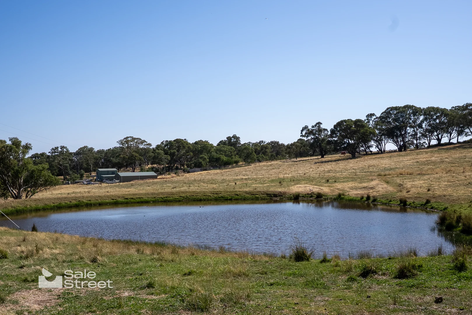 Additional image 36 of 90 Convent Lane, Borenore NSW 2800