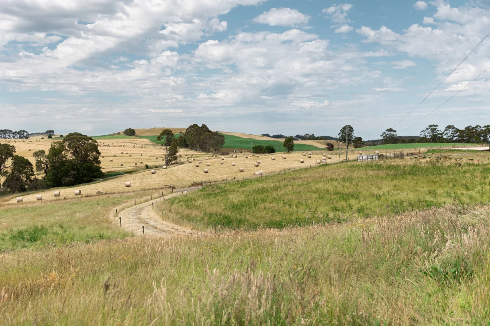 Additional image 19 of 250 East Yolla Road, Henrietta TAS 7325