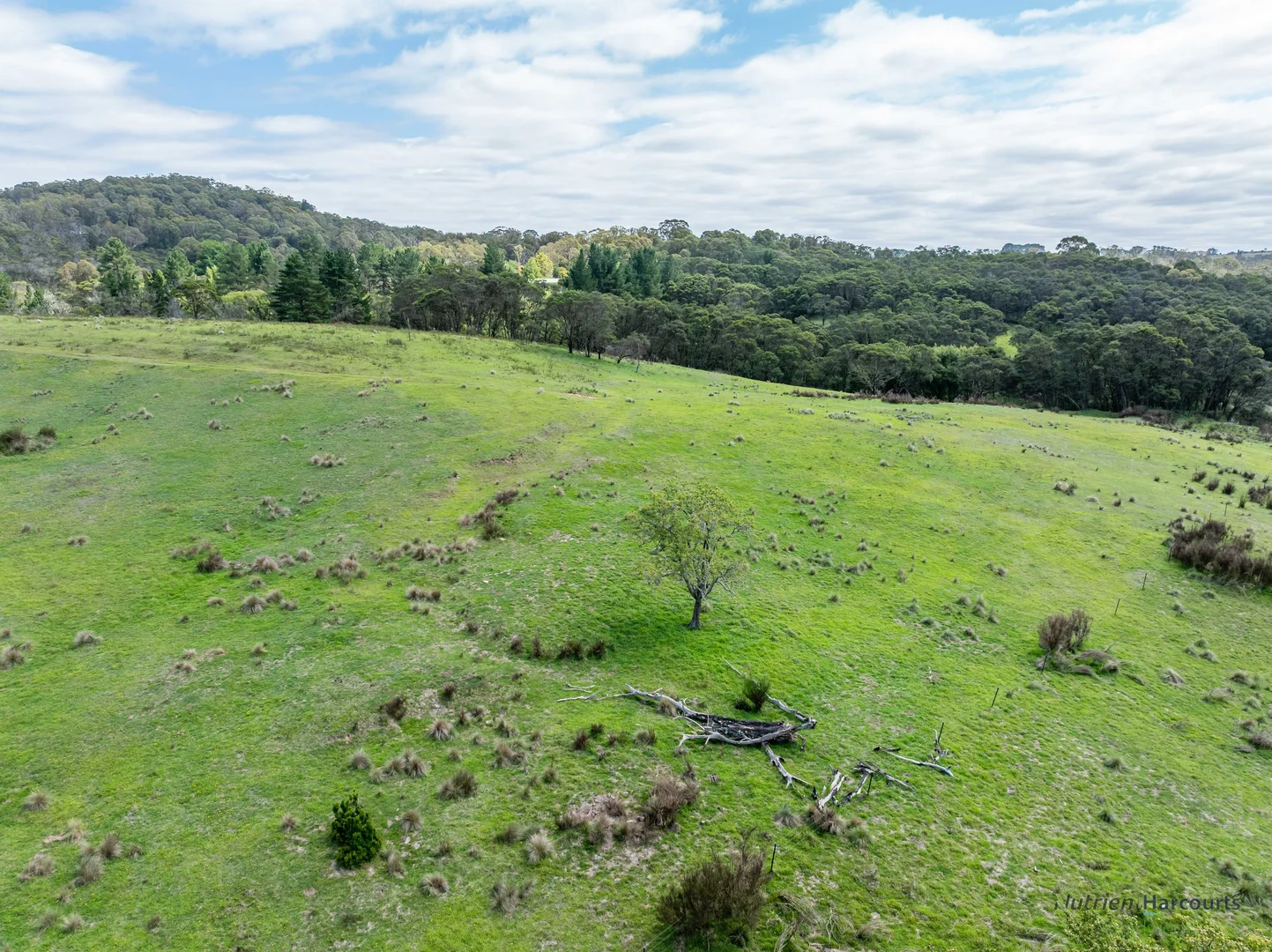 Additional image 7 of 1130 Majors Creek Road, Braidwood NSW 2622