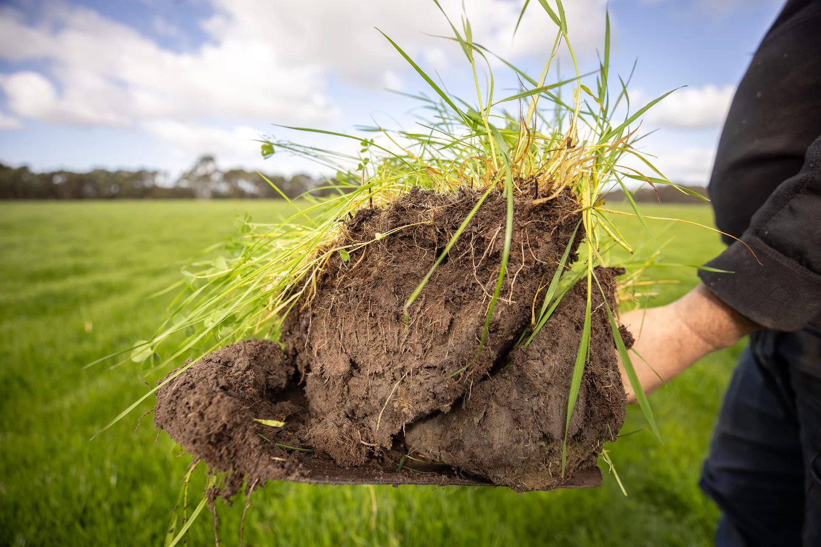 Additional image 6 of 546 Bool Lagoon West Road, Penola SA 5277