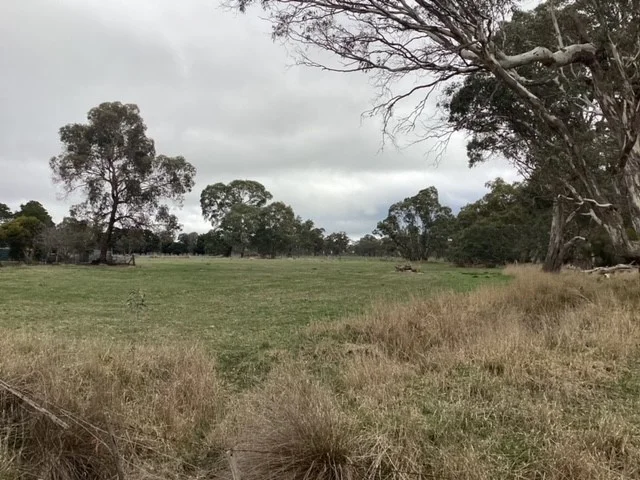 Additional image 14 of 1233 Waubra-Talbot Road, Evansford VIC 3371