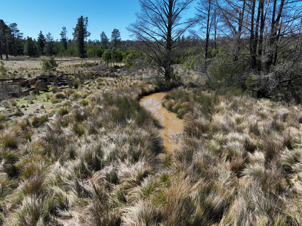 Additional image 8 of 8422 Nerriga Road, Tomboye NSW 2622