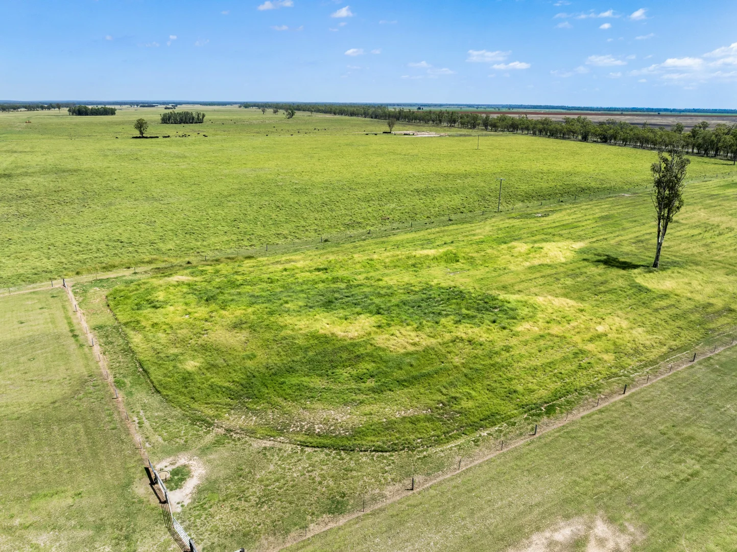 Additional image 25 of 2001 Millmerran Cecil Plains Road, Millmerran QLD 4357