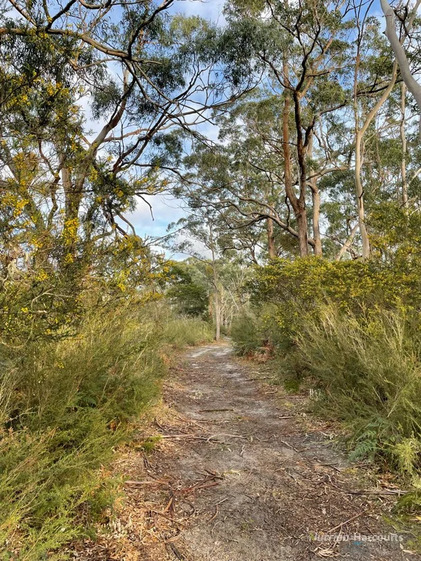 Additional image 6 of . South Gippsland Highway, Woodside VIC 3874