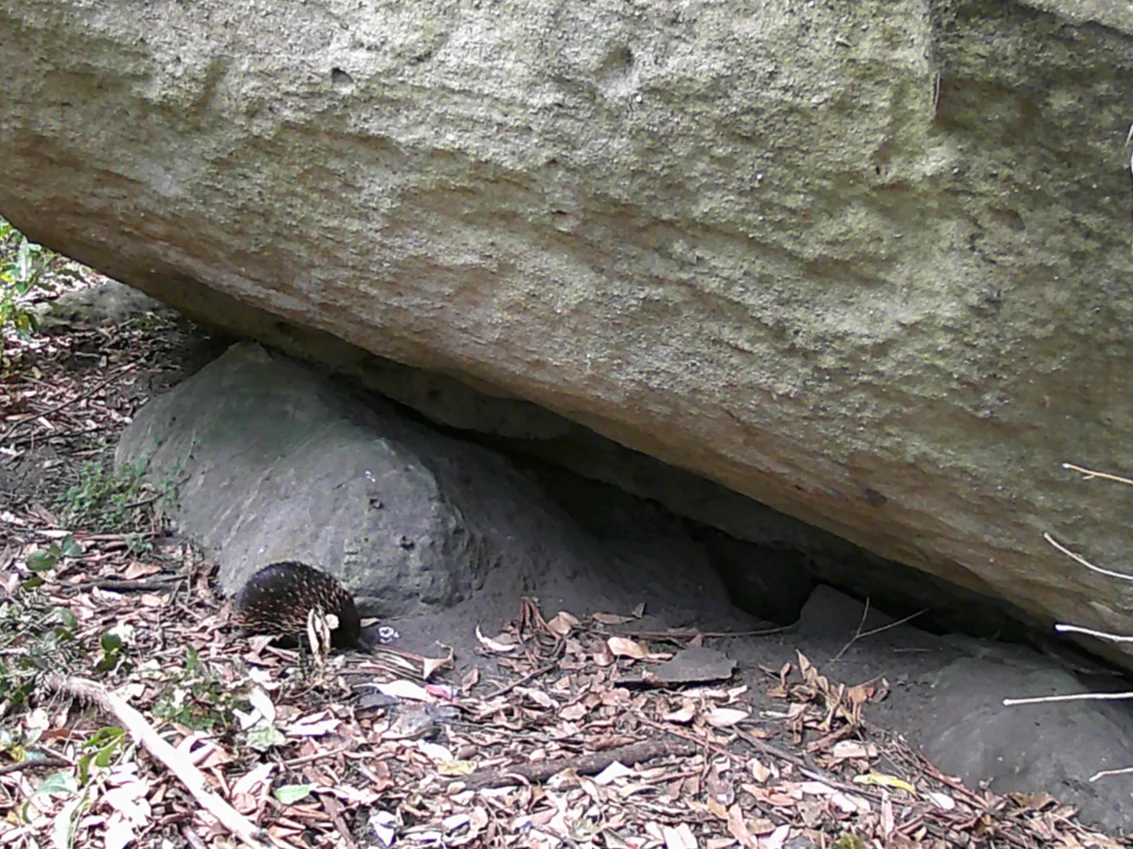 Additional image 27 of Illaroo NSW 2540