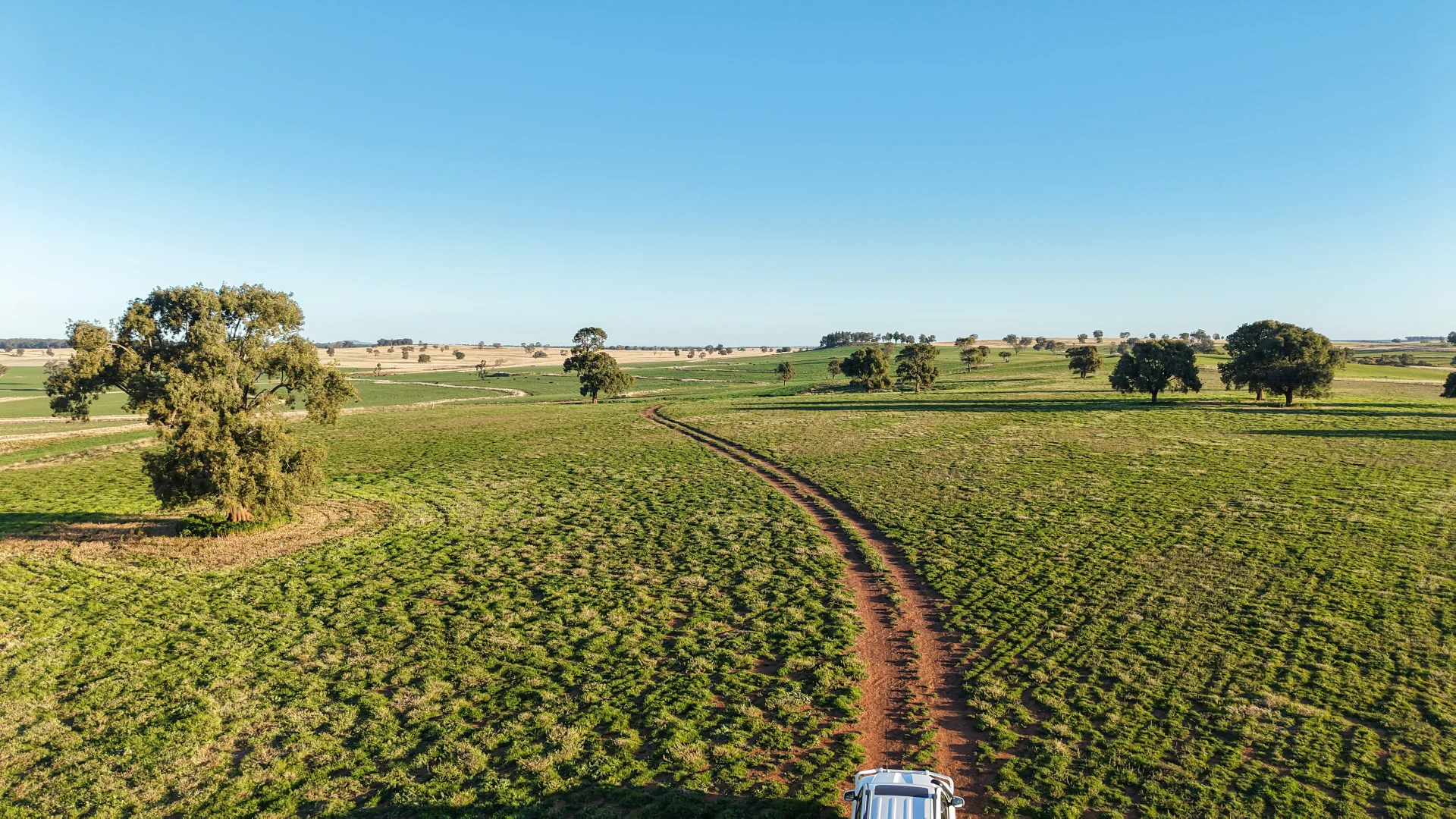Additional image 3 of 38 Tallawonga Road, Elong Elong NSW 2831