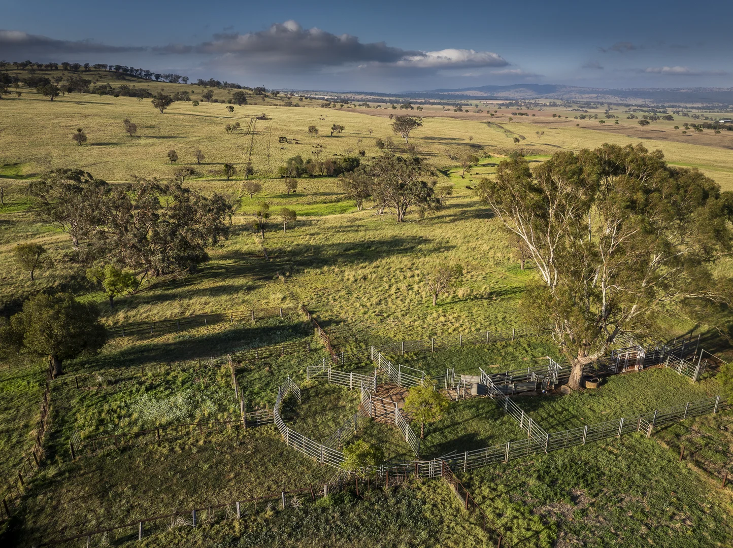 Additional image 30 of 'Mountainside' 250 Mountain Side Road, Coolah NSW 2843