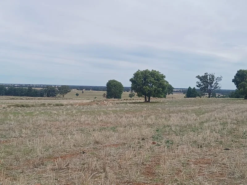 Additional image 24 of Tooraweenah NSW 2817