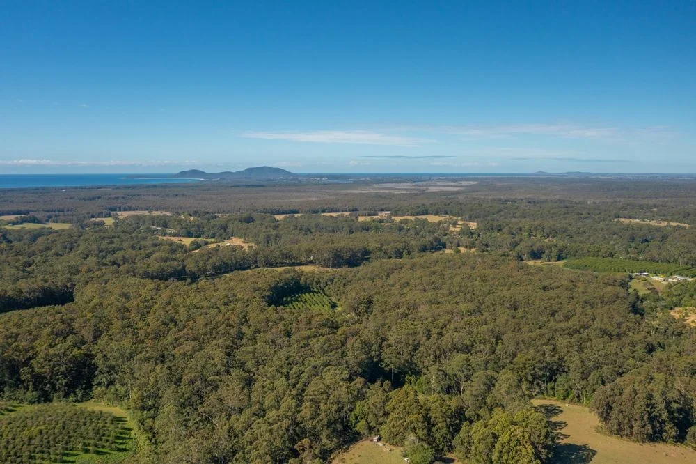 Additional image 9 of 137 Browns Road, Barraganyatti NSW 2441