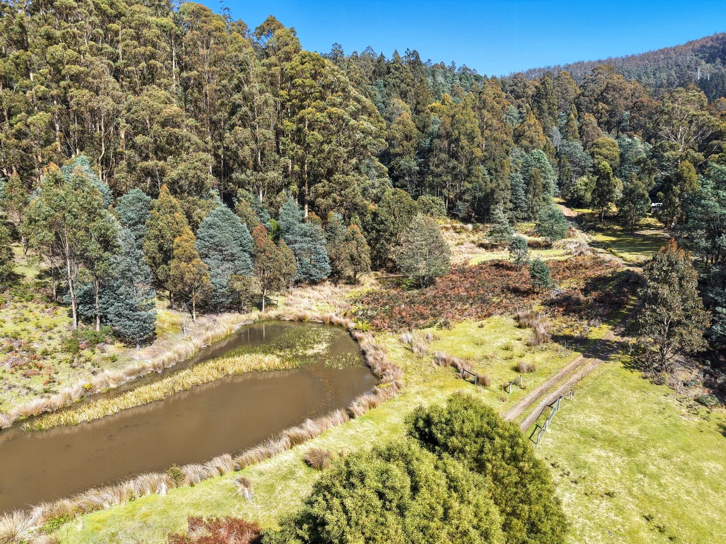 Additional image 13 of Lucaston TAS 7109