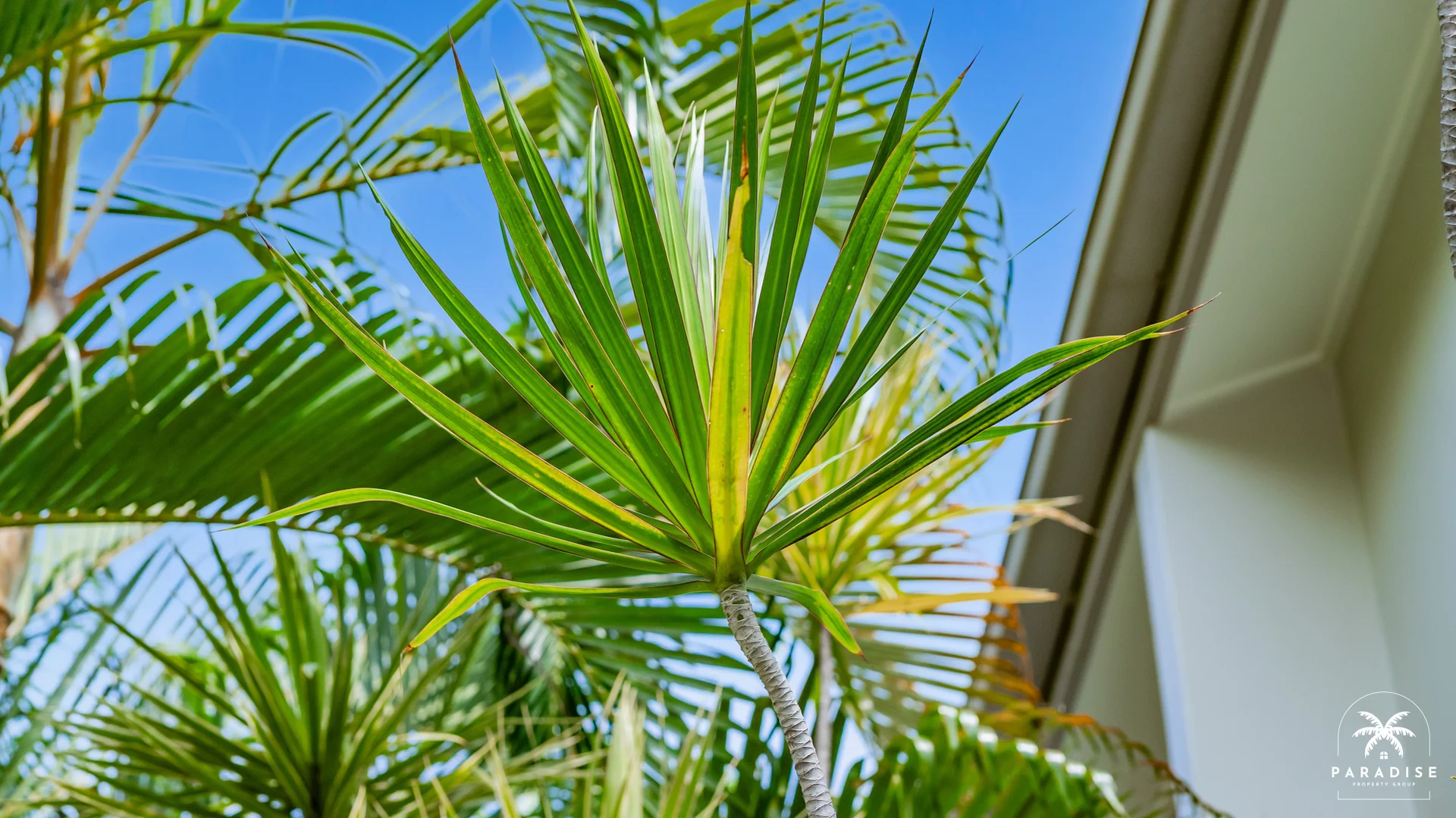 Additional image 15 of 21/75-79 Cedar Road, Palm Cove QLD 4879