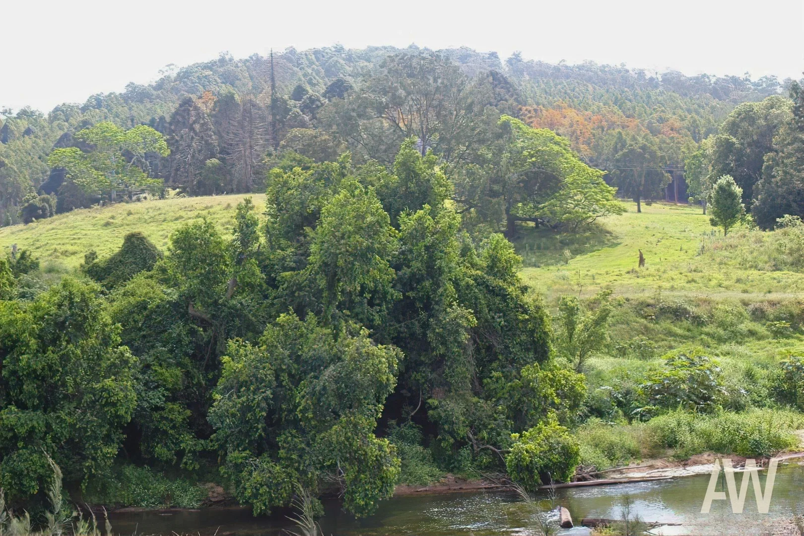 Additional image 6 of 222-330 Boyle Road, Belli Park QLD 4562