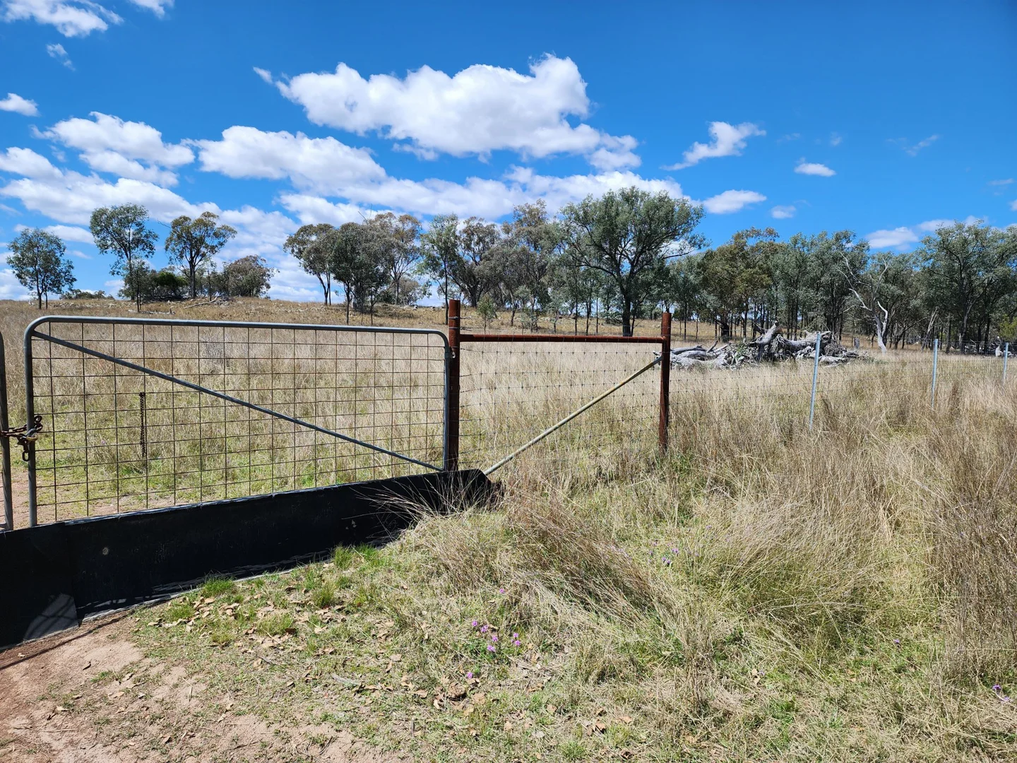 Additional image 6 of Lot 11 Pikedale Lane, Stanthorpe QLD 4380