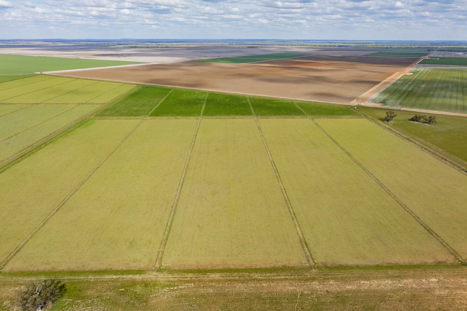 Additional image 4 of 10755 Sturt Highway, Narrandera NSW 2700