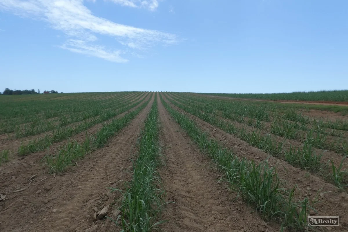 Additional image 8 of Belvedere QLD 4860